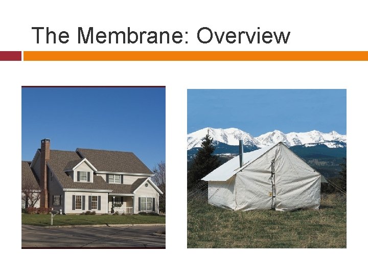 The Membrane: Overview 