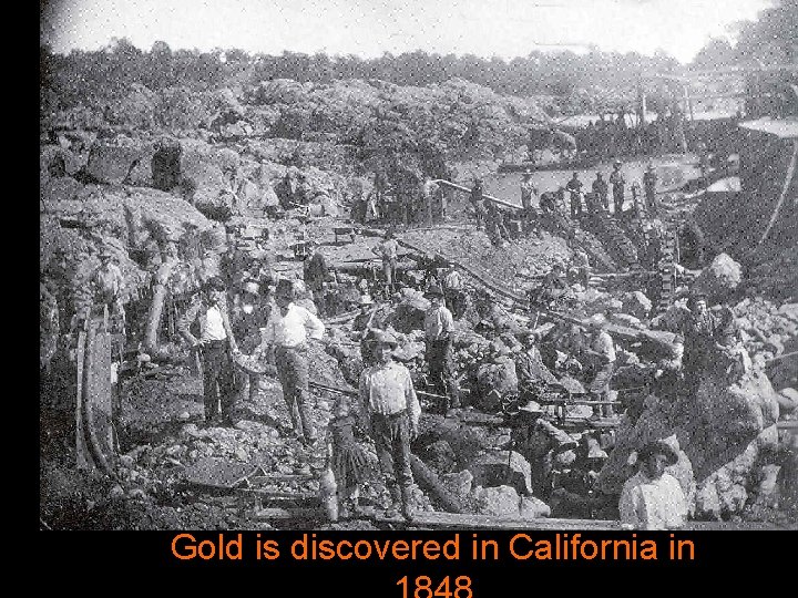 Gold is discovered in California in 
