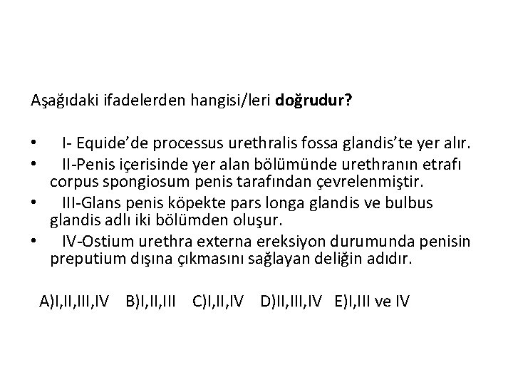 Aşağıdaki ifadelerden hangisi/leri doğrudur? • I- Equide’de processus urethralis fossa glandis’te yer alır. •
