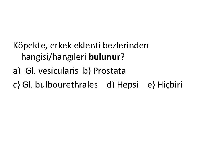 Köpekte, erkek eklenti bezlerinden hangisi/hangileri bulunur? a) Gl. vesicularis b) Prostata c) Gl. bulbourethrales