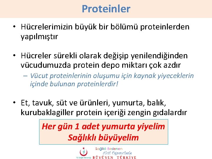 Proteinler • Hücrelerimizin büyük bir bölümü proteinlerden yapılmıştır • Hücreler sürekli olarak değişip yenilendiğinden