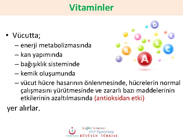 Vitaminler • Vücutta; – enerji metabolizmasında – kan yapımında – bağışıklık sisteminde – kemik