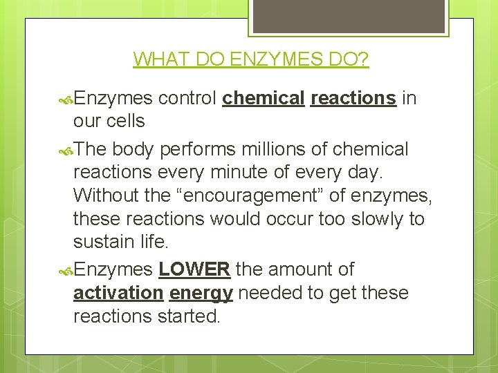 Enzymes Biological catalysts theyre always starting something WHAT