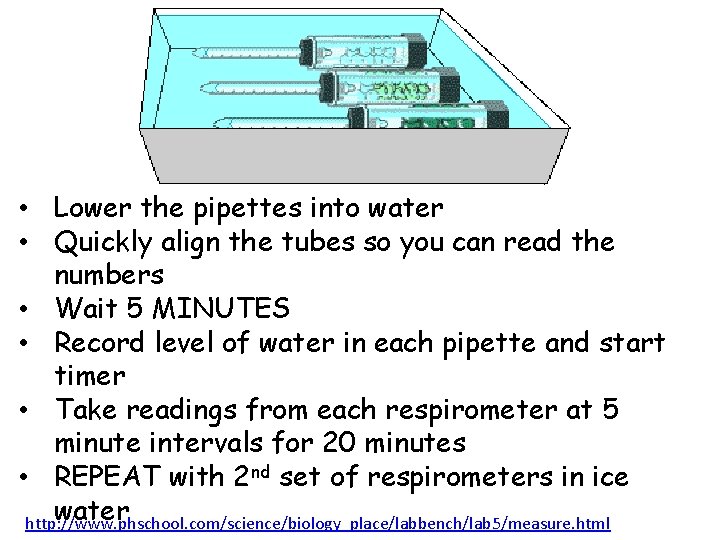  • Lower the pipettes into water • Quickly align the tubes so you