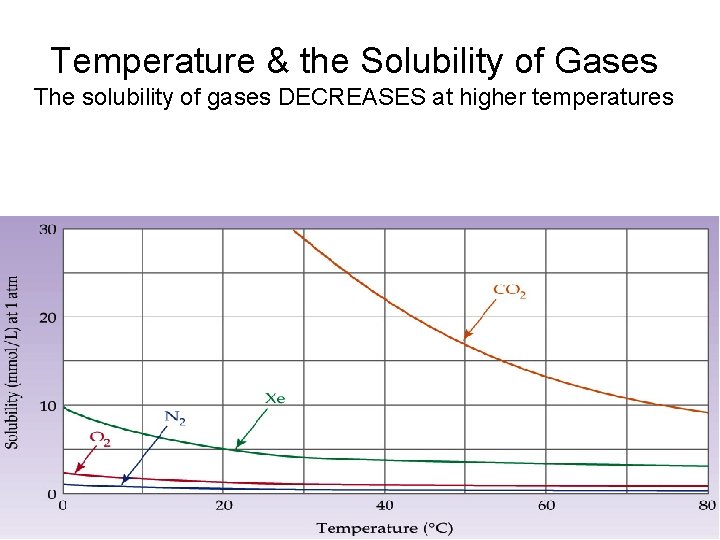 Temperature & the Solubility of Gases The solubility of gases DECREASES at higher temperatures