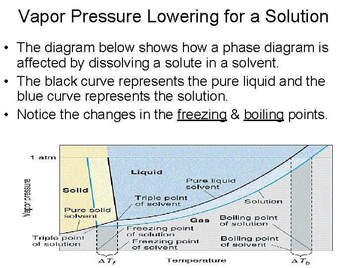 Vapor Pressure Lowering for a Solution • The diagram below shows how a phase