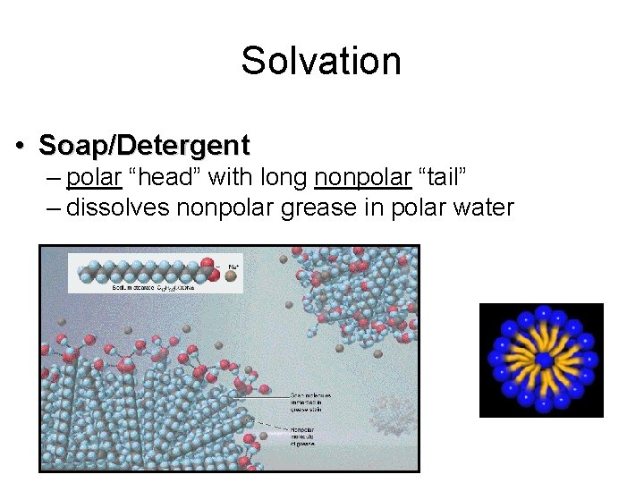 Solvation • Soap/Detergent – polar “head” with long nonpolar “tail” – dissolves nonpolar grease