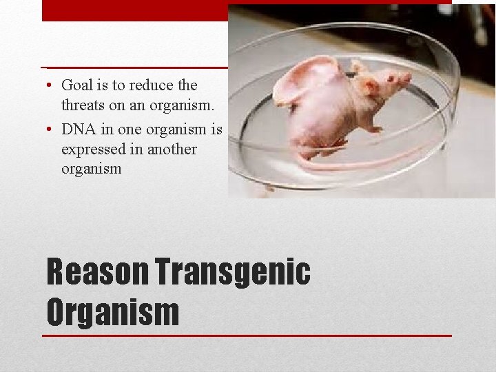  • Goal is to reduce threats on an organism. • DNA in one