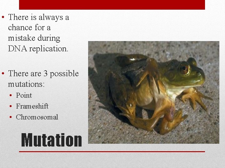  • There is always a chance for a mistake during DNA replication. •