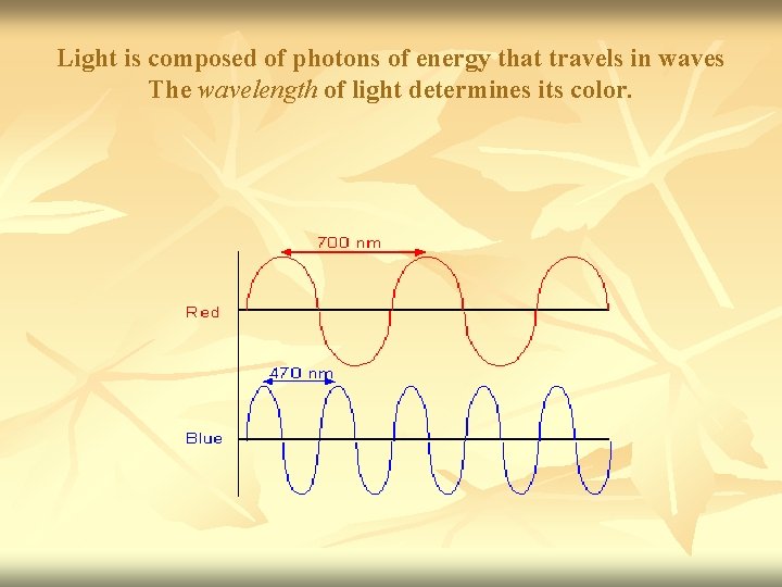 Light is composed of photons of energy that travels in waves The wavelength of