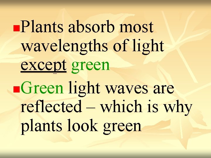 Plants absorb most wavelengths of light except green n. Green light waves are reflected