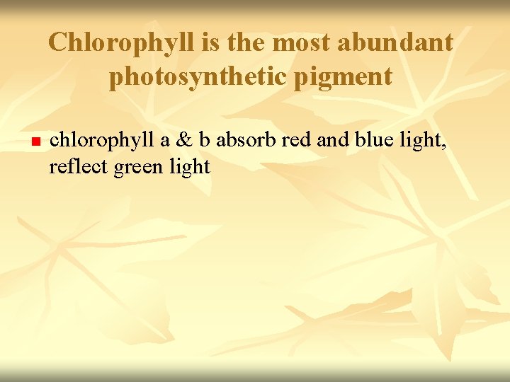 Chlorophyll is the most abundant photosynthetic pigment n chlorophyll a & b absorb red