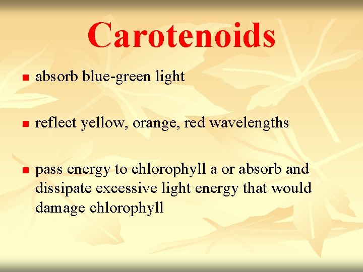 Carotenoids n absorb blue-green light n reflect yellow, orange, red wavelengths n pass energy