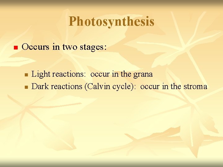 Photosynthesis n Occurs in two stages: n n Light reactions: occur in the grana