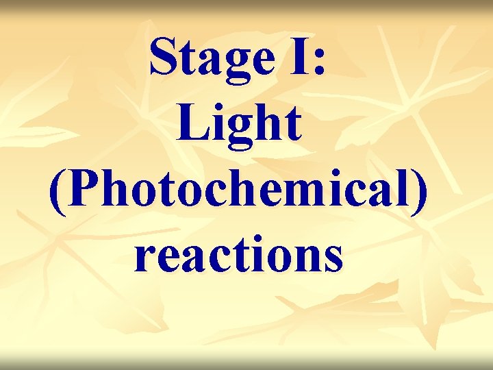 Stage I: Light (Photochemical) reactions 