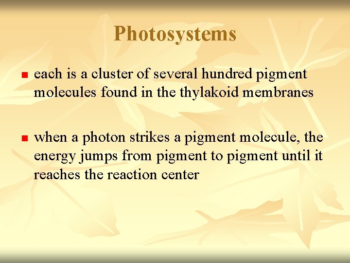 Photosystems n n each is a cluster of several hundred pigment molecules found in