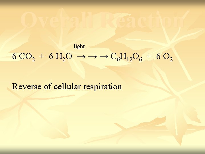 Overall Reaction light 6 CO 2 + 6 H 2 O → → →