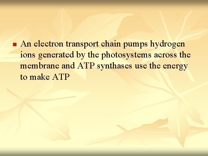 n An electron transport chain pumps hydrogen ions generated by the photosystems across the