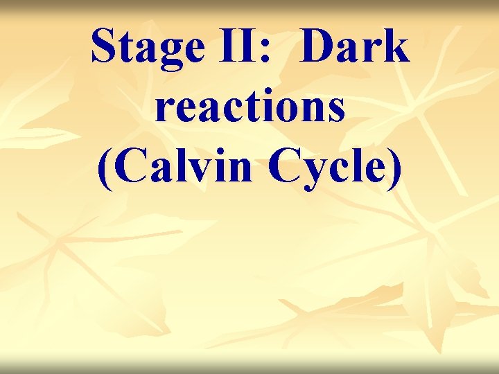 Stage II: Dark reactions (Calvin Cycle) 