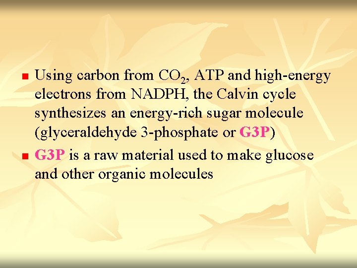 n n Using carbon from CO 2, ATP and high-energy electrons from NADPH, the