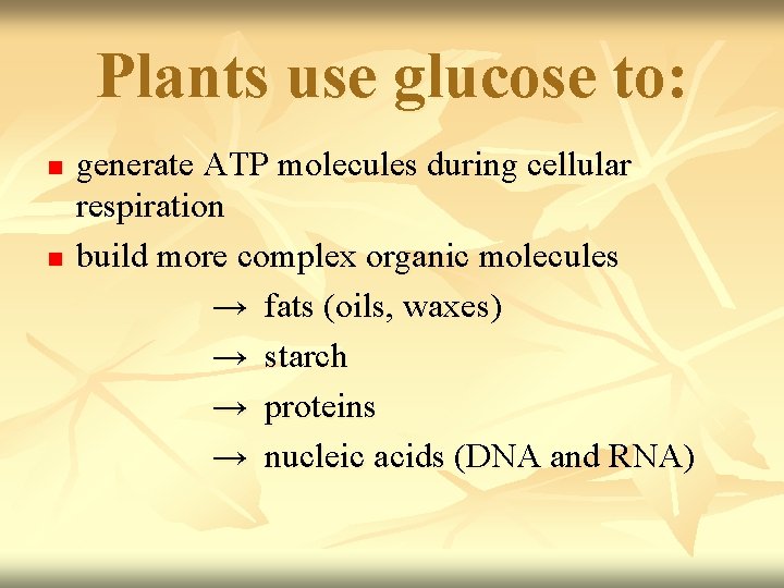 Plants use glucose to: n n generate ATP molecules during cellular respiration build more