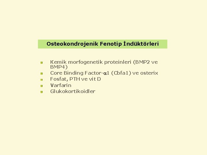 Osteokondrojenik Fenotip İndüktörleri Kemik morfogenetik proteinleri (BMP 2 ve BMP 4) Core Binding Factor-