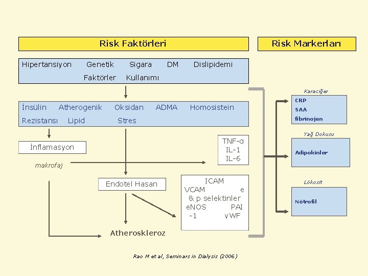 Risk Faktörleri Risk Markerları Hipertansiyon Genetik Sigara DM Dislipidemi Faktörler Kullanımı Karaciğer İnsülin Atherogenik