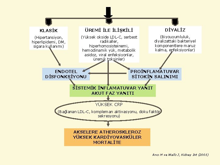 KLASİK ÜREMİ İLE İLİŞKİLİ DİYALİZ (Hipertansiyon, hiperlipidemi, DM, sigara kullanımı) (Yüksek okside LDL-C, serbest