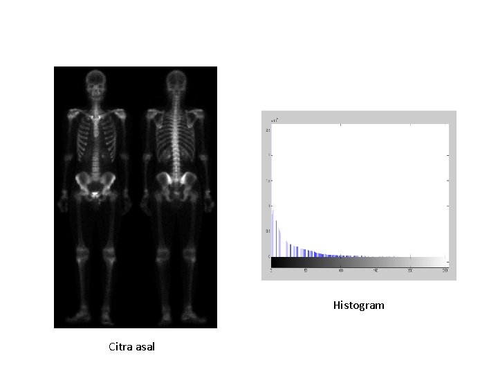 Histogram Citra asal 