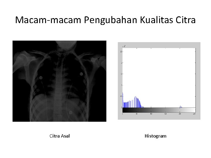 Macam-macam Pengubahan Kualitas Citra Asal Histogram 