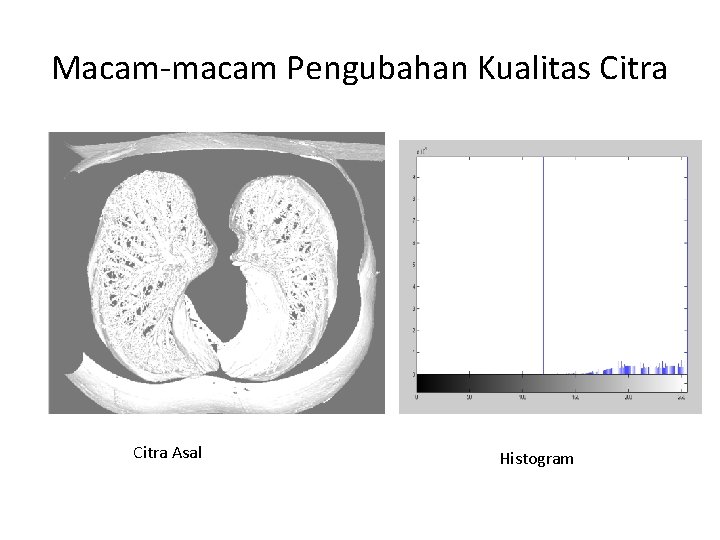 Macam-macam Pengubahan Kualitas Citra Asal Histogram 