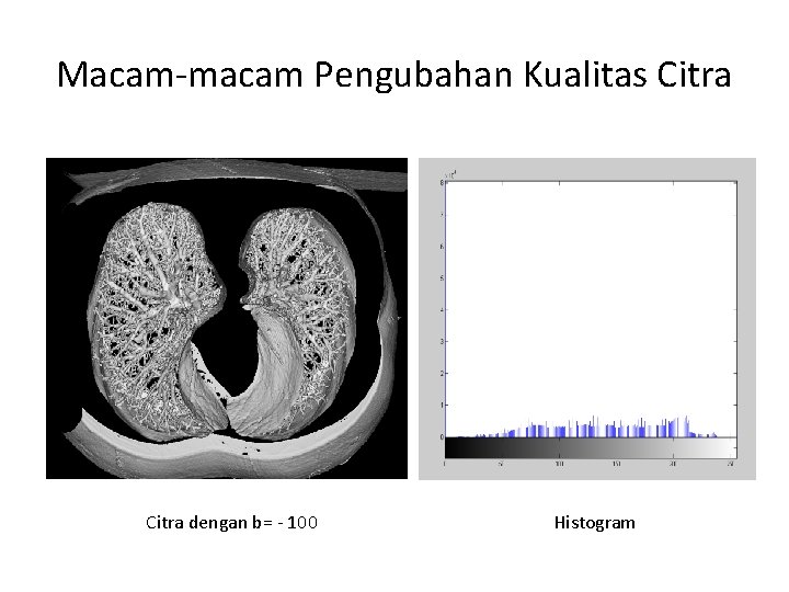 Macam-macam Pengubahan Kualitas Citra dengan b= - 100 Histogram 