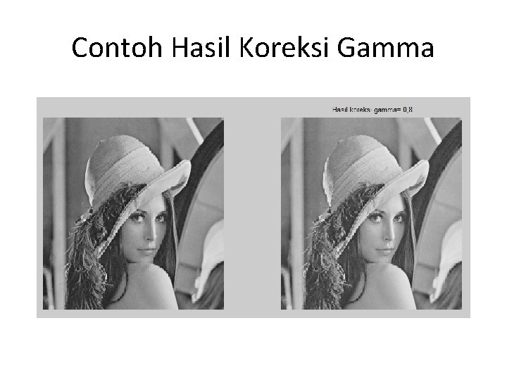 Contoh Hasil Koreksi Gamma 