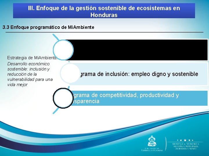 III. Enfoque de la gestión sostenible de ecosistemas en Honduras 3. 3 Enfoque programático