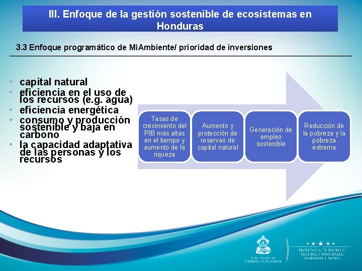 III. Enfoque de la gestión sostenible de ecosistemas en Honduras 3. 3 Enfoque programático