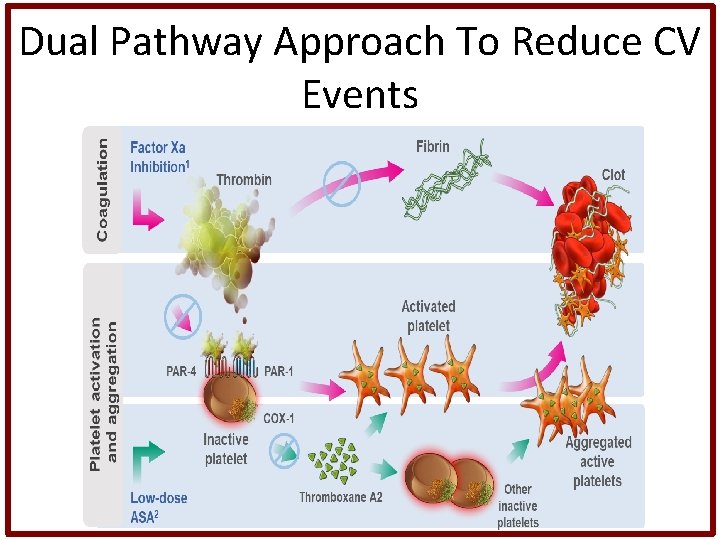 Dual Pathway Approach To Reduce CV Events 