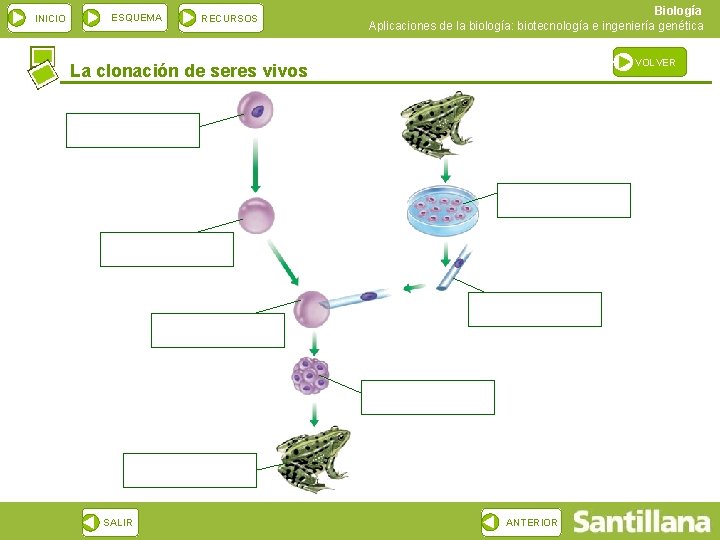 INICIO ESQUEMA RECURSOS Biología Aplicaciones de la biología: biotecnología e ingeniería genética VOLVER La