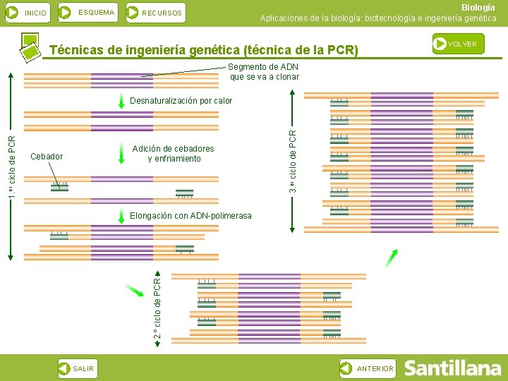 ESQUEMA INICIO Biología Aplicaciones de la biología: biotecnología e ingeniería genética RECURSOS Técnicas de