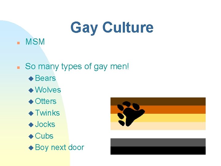 Gay Culture n MSM n So many types of gay men! u Bears u