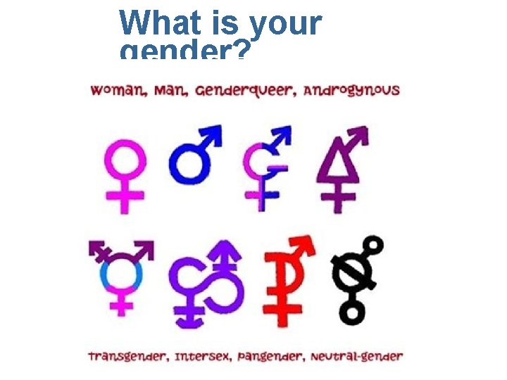 What is your gender? 