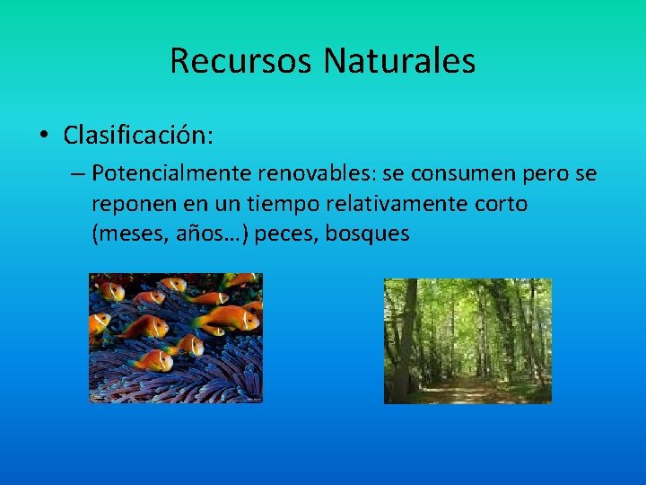 Recursos Naturales • Clasificación: – Potencialmente renovables: se consumen pero se reponen en un
