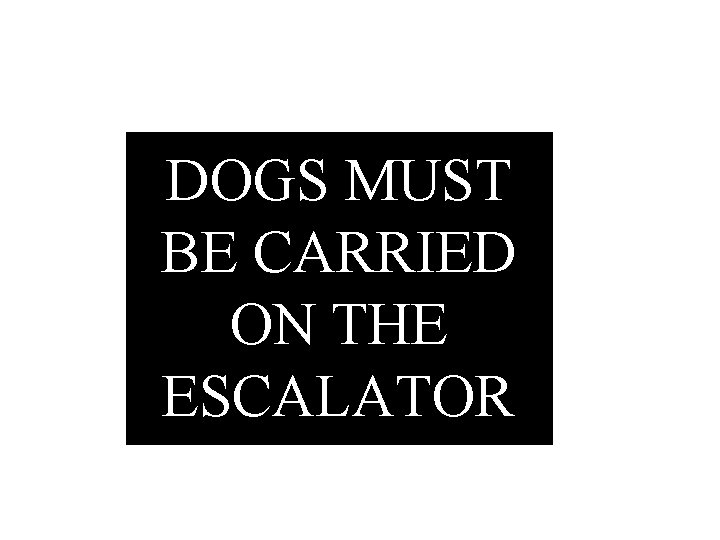 DOGS MUST BE CARRIED ON THE ESCALATOR 