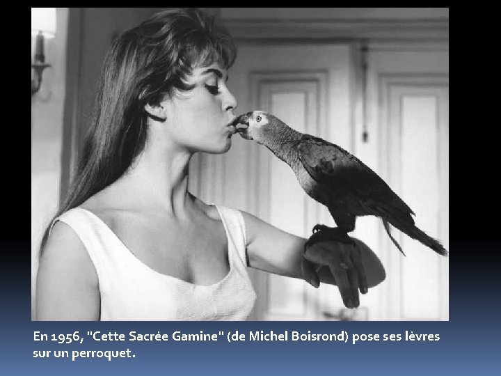 En 1956, "Cette Sacrée Gamine" (de Michel Boisrond) pose ses lèvres sur un perroquet.