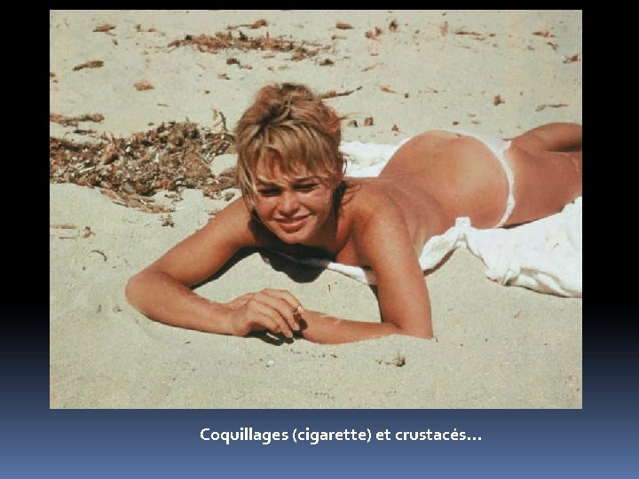 Coquillages (cigarette) et crustacés. . . 