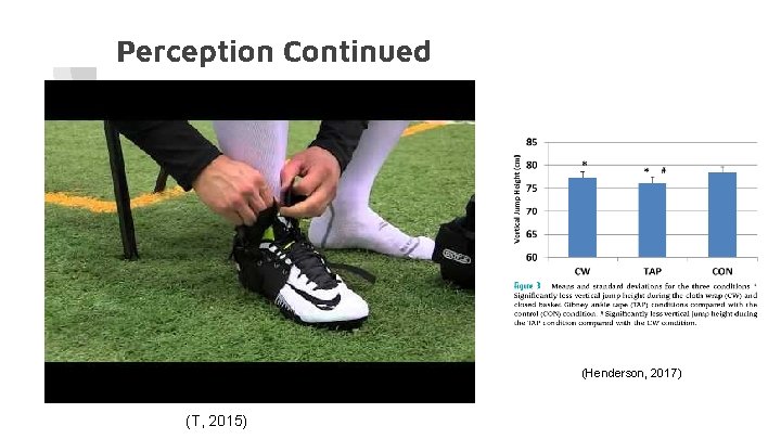 Perception Continued (Henderson, 2017) (T, 2015) 