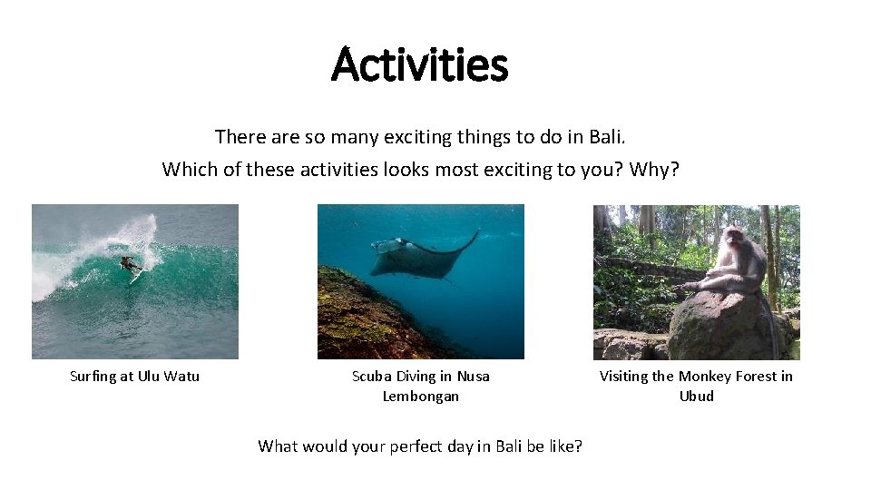 Activities There are so many exciting things to do in Bali. Which of these