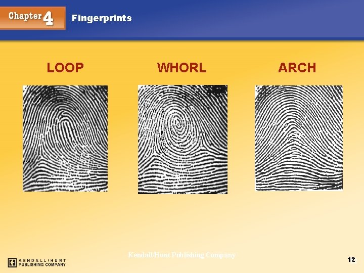 Fingerprints LOOP Chapter 4 WHORL Kendall/Hunt Publishing Company ARCH 12 12 