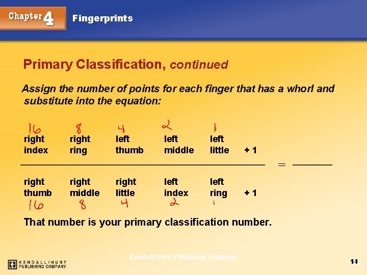 Fingerprints Primary Classification, continued Assign the number of points for each finger that has