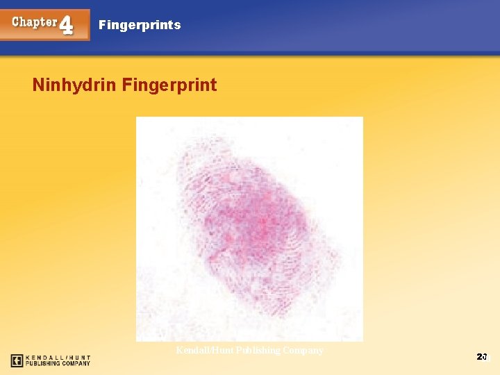 Fingerprints Ninhydrin Fingerprint Chapter 4 Kendall/Hunt Publishing Company 20 20 