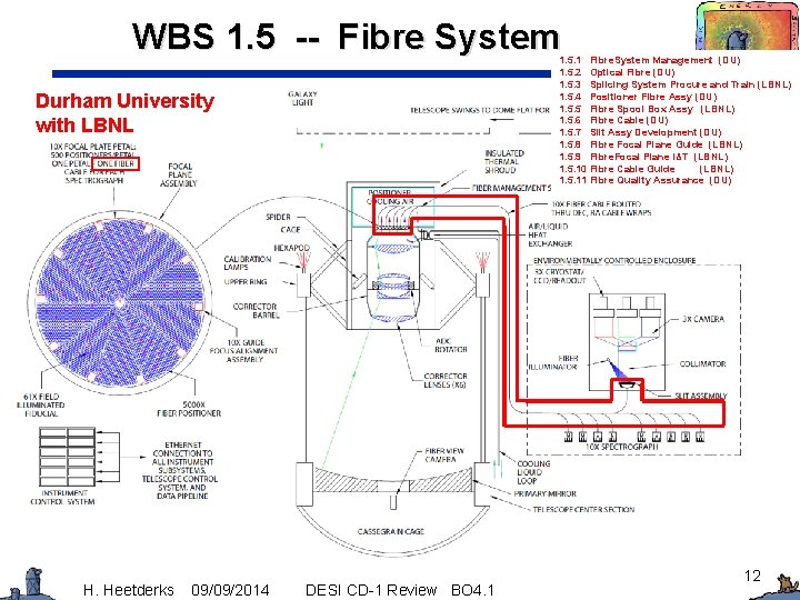 WBS 1. 5 -- Fibre System 1. 5. 1 Fibre. System Management (DU) 1.